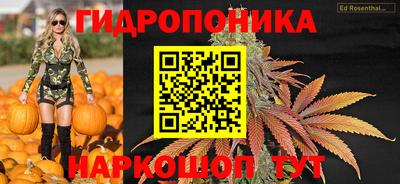 гидропоника Краснознаменск