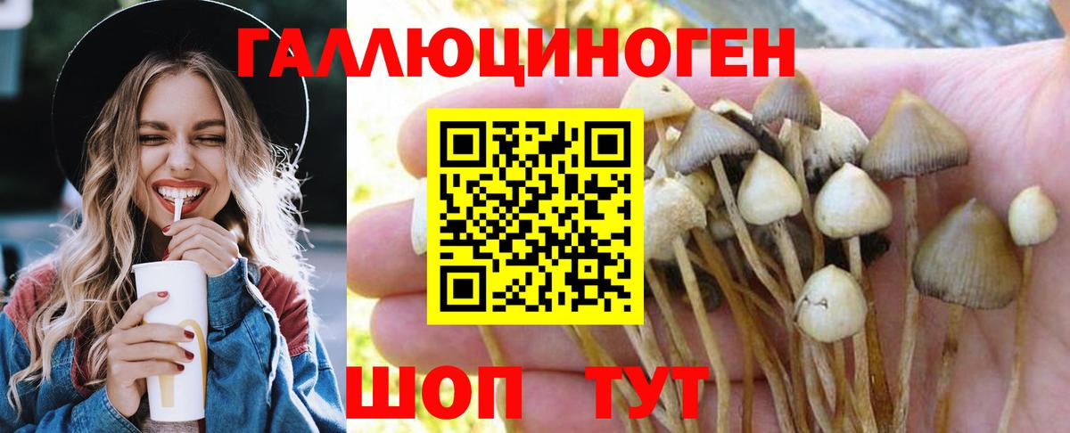 Псилоцибиновые грибы мицелий Учалы